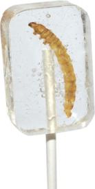 Леденец HOTLIX с настоящим червем со вкусом текилы 31 грамм